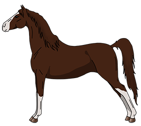 Cheval Morgan